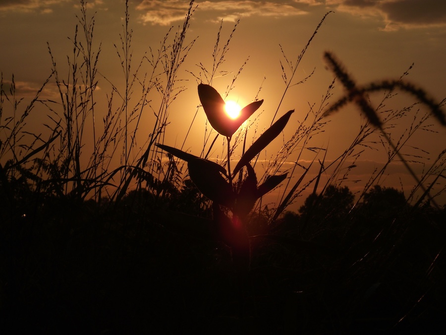 New Jersey End of Life CE 2 hours